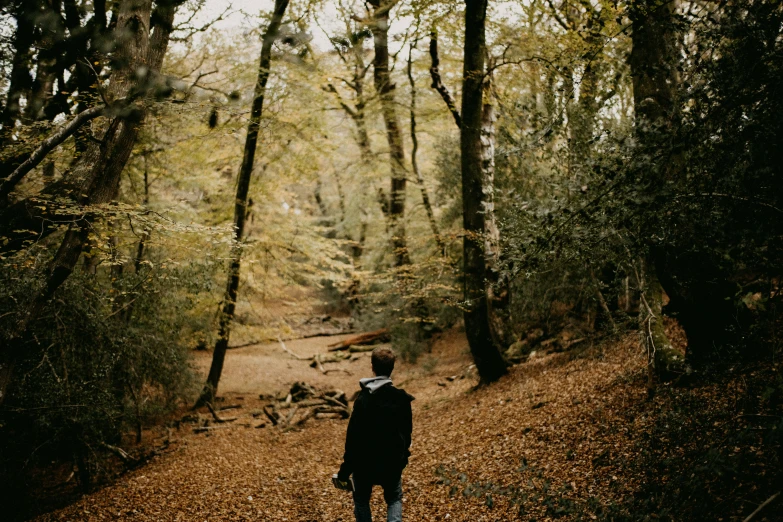 a man standing in the middle of a forest on a path