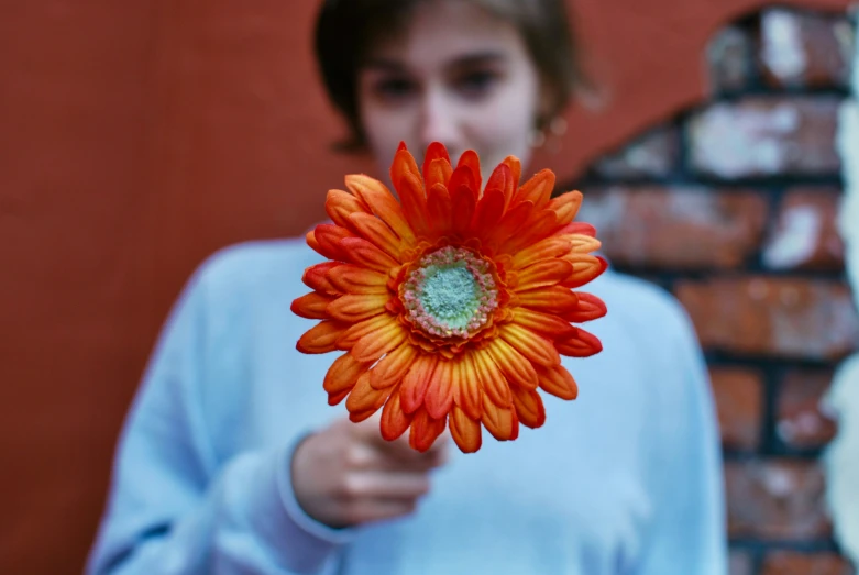 a woman holding a bright red flower in front of her