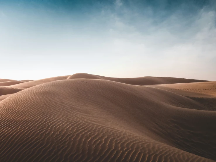 there is a small herd of sand dunes