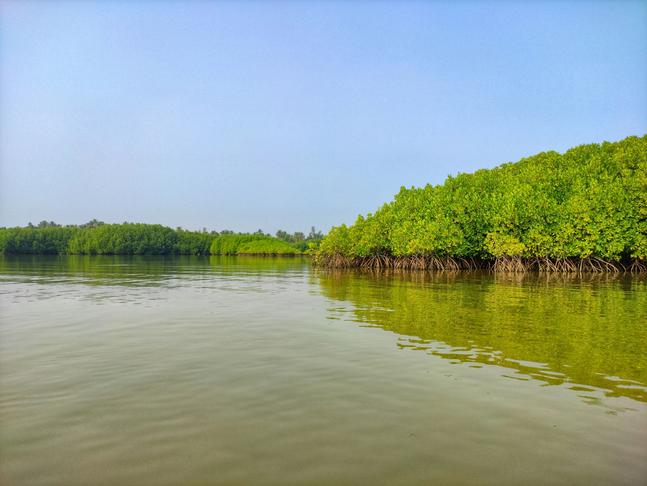 there are trees line the edge of the lake