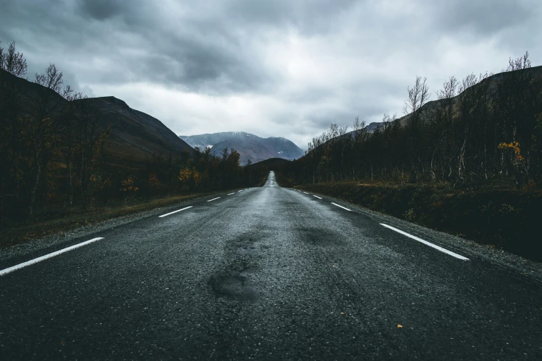 the empty road is surrounded by barren trees