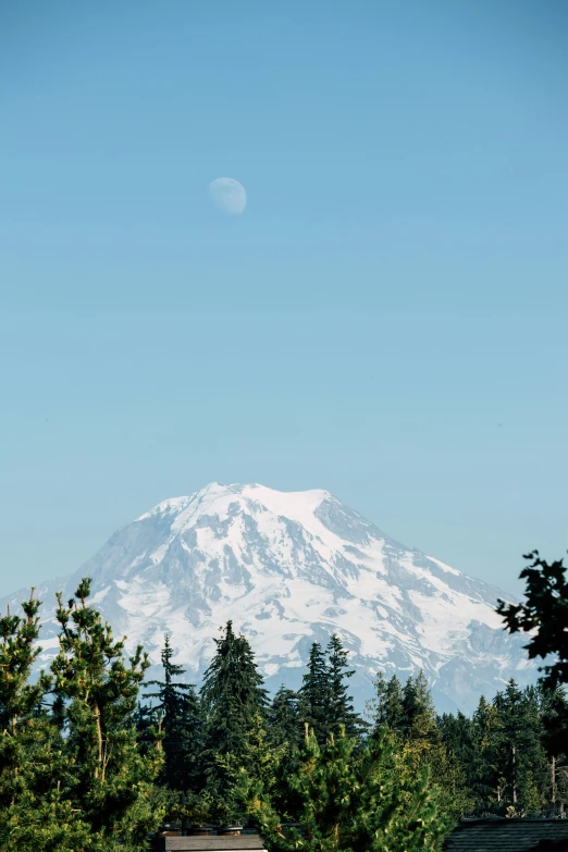 a beautiful view of the mountain peaks through trees