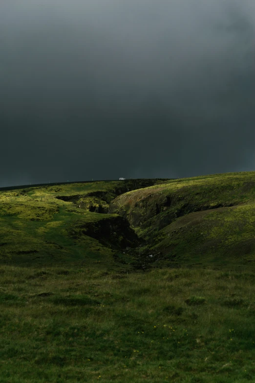 two sheep graze on grass on an open hill