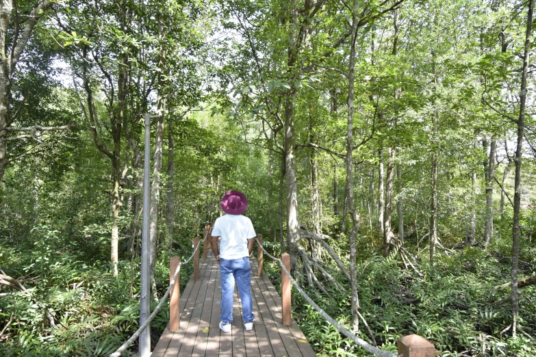 a woman walking across a bridge in the woods