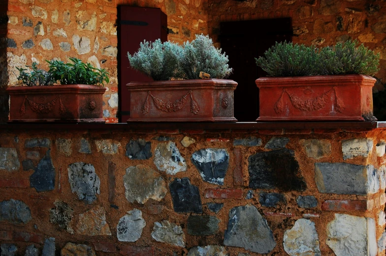 two potted plants placed on top of an old brick building