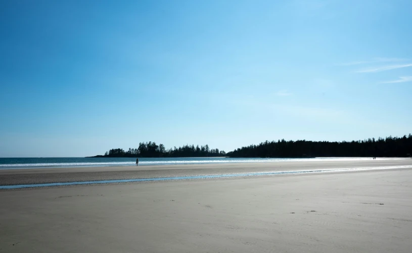 someone is walking on a beach and some trees in the background