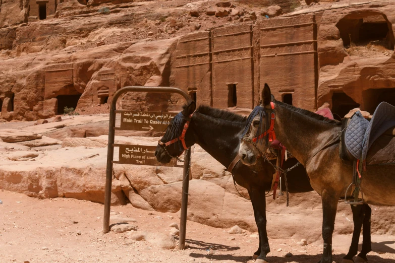 two horses are standing near a sign and some rocks