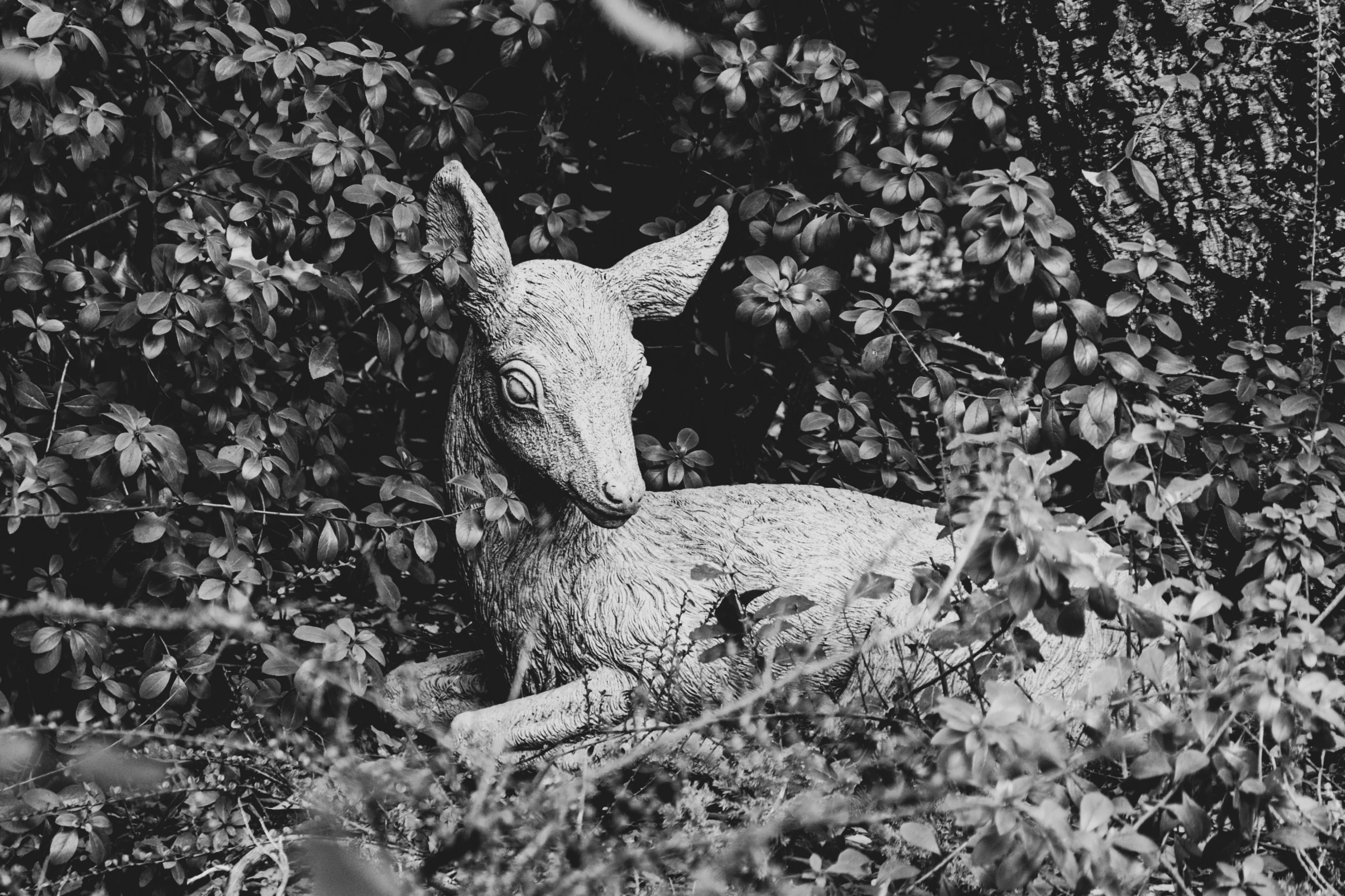 a small deer sitting in the forest near some bushes