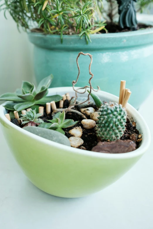 a green bowl with little rocks and a cactus