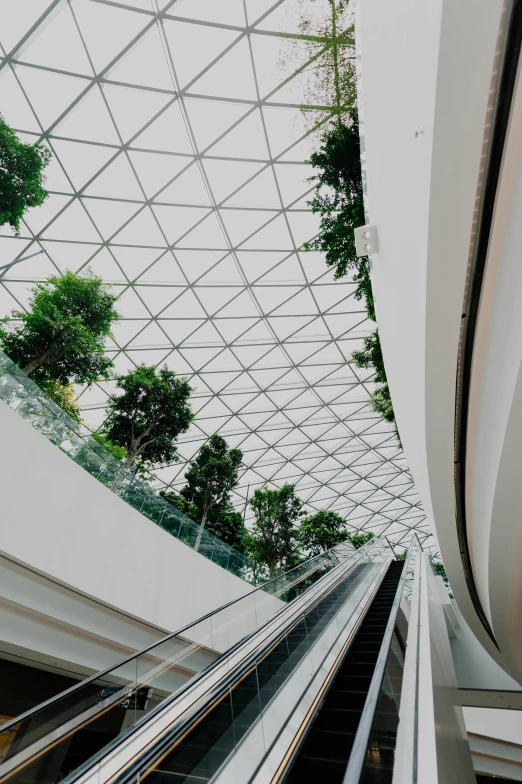 a skylight above the train tracks of an underground walkway