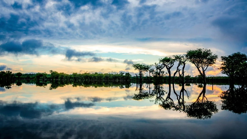 trees in the foreground, with blue sky and clouds above, in the background, is a large lake