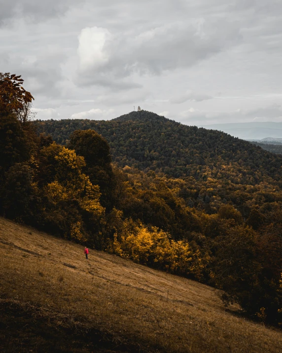 a large hill with some trees and one person walking in it