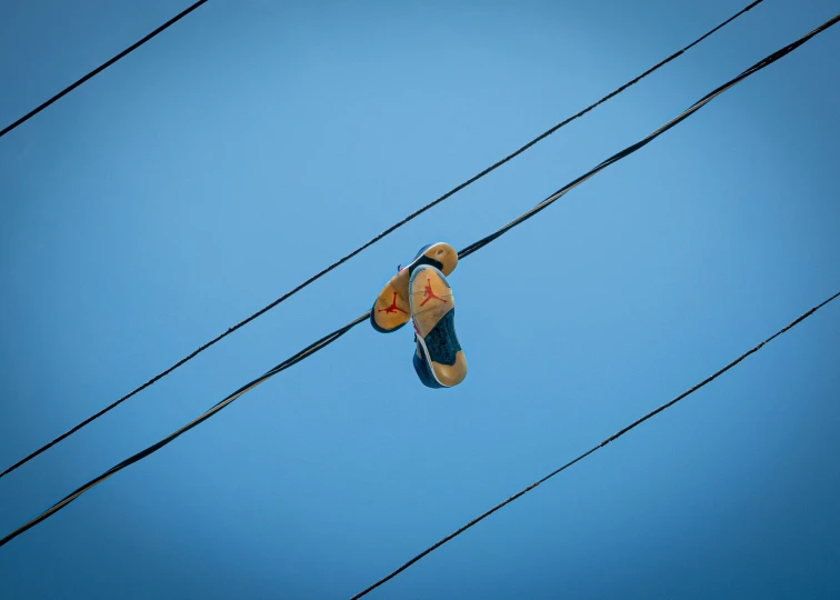a teddy bear suspended by a rope and wires