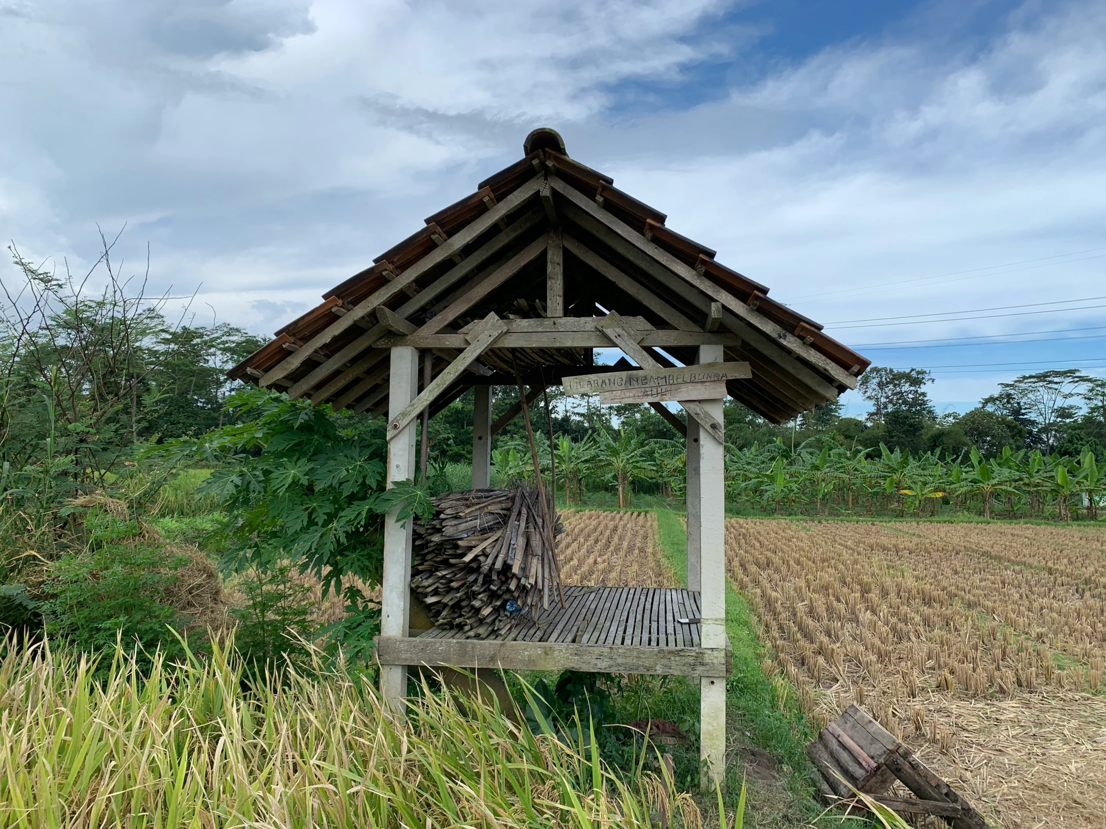 an abandoned shelter with green grass and blue sky