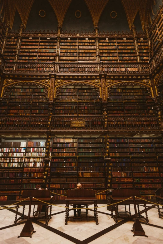 large bookshelves filled with many kinds of books