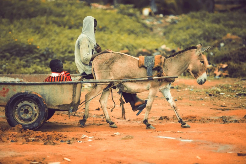 a boy standing next to a donkey pulling a wagon