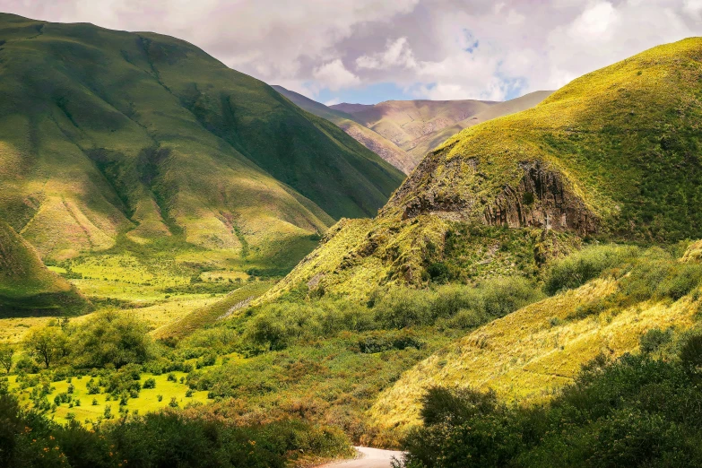 a view of a lush, green valley with mountains in the background