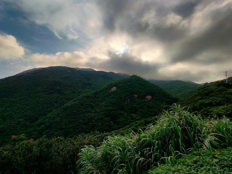 a hill that has green vegetation in it