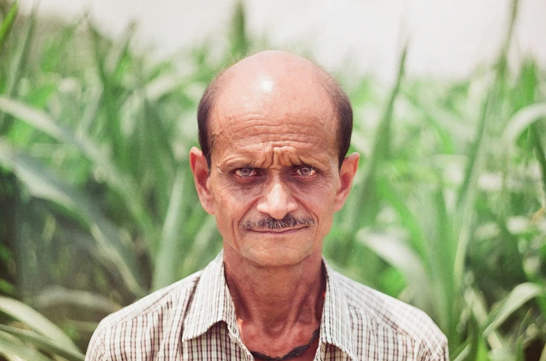 an old man with a mustache stands in front of corn