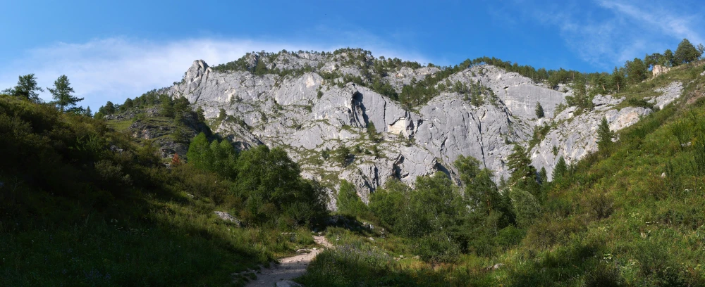 a very tall rock mountain behind a small forest