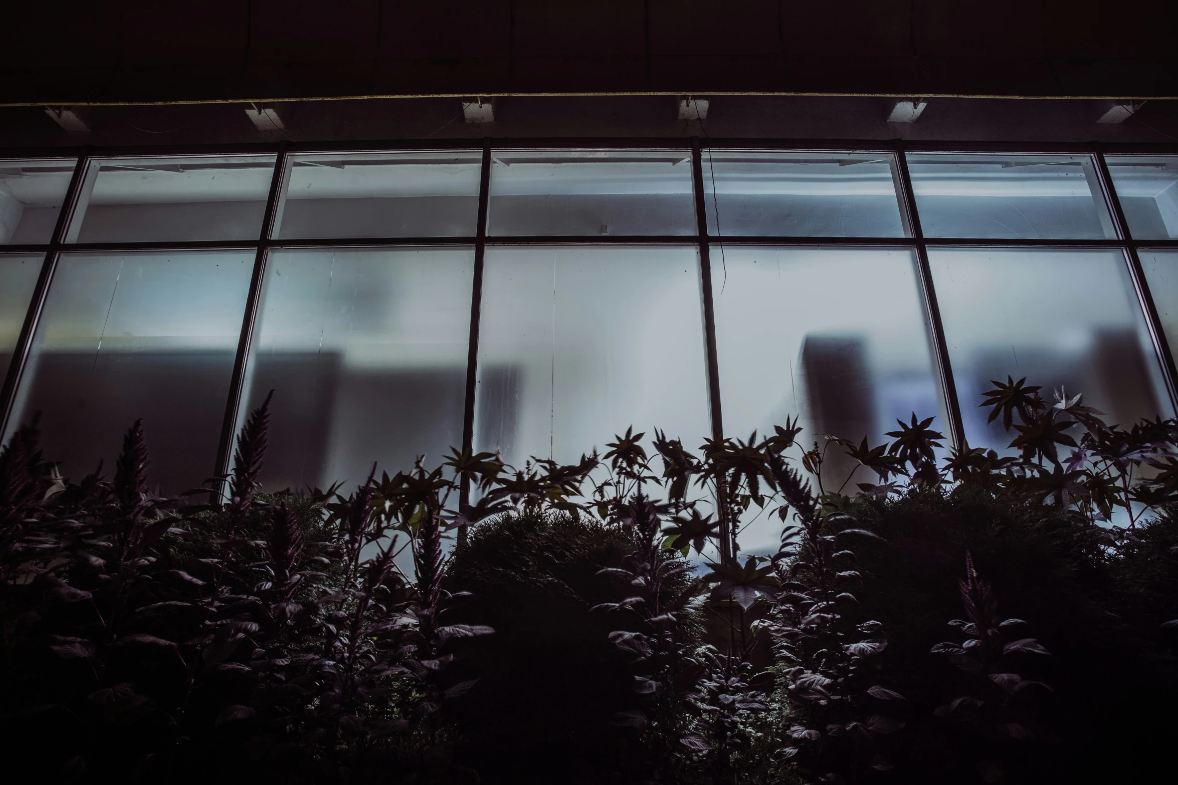 some trees are standing near a building