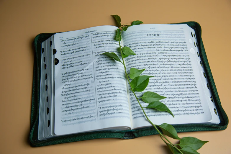 a book with some leaves on top of it