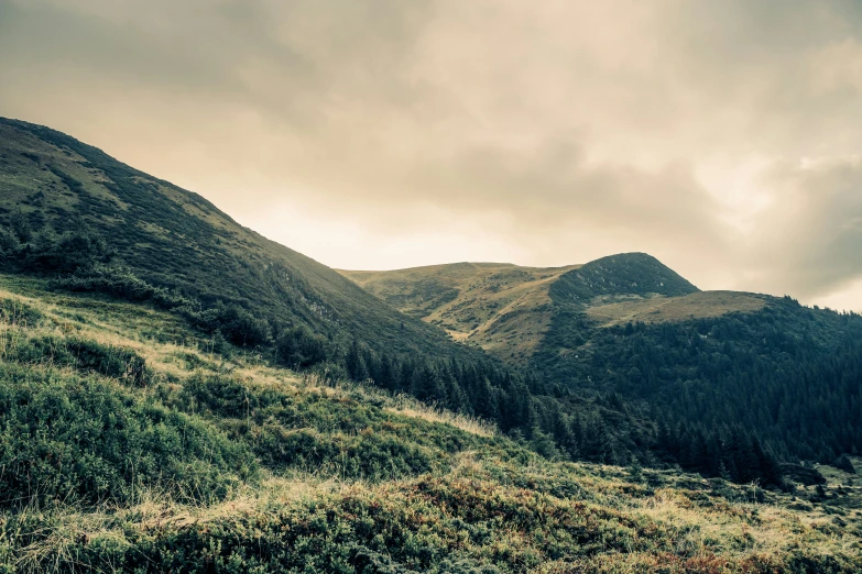 hills covered in grass and vegetation against an overcast sky