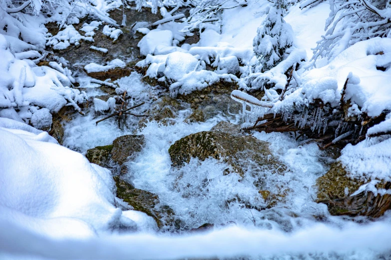 there is a small stream of water next to snow