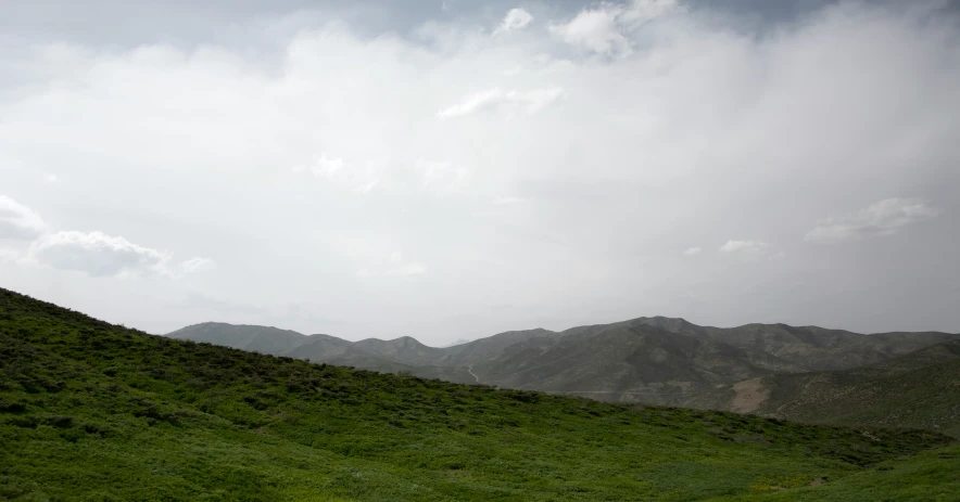 a lush green hillside under a cloudy sky