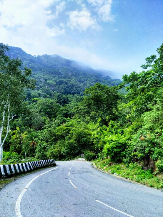 an image of a mountain road winding in the forest