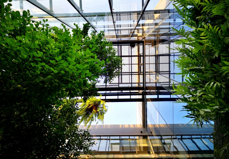 some trees and plants are reflected in the glass