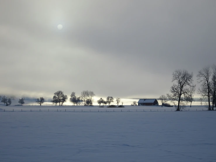 a large field covered with snow and snow covered trees