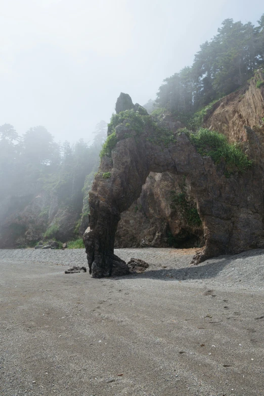 a rocky rock formation with some trees in the background