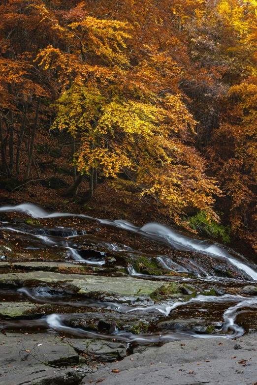 the view of several large rocks and a stream