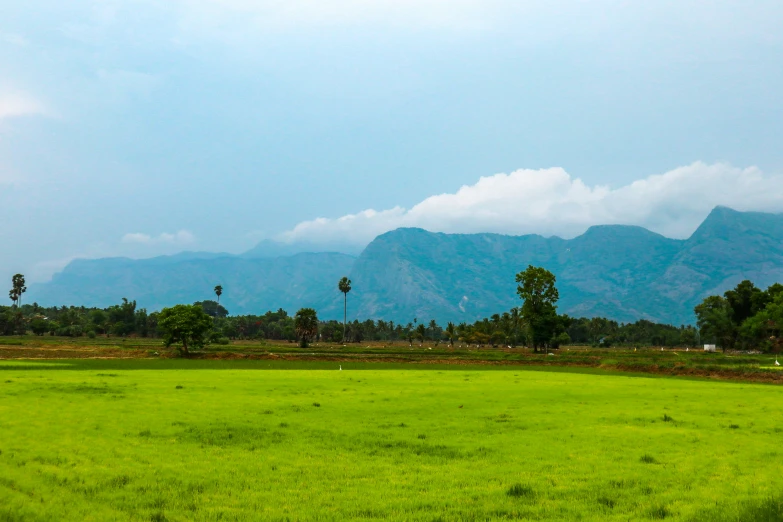 an open field with mountains in the background