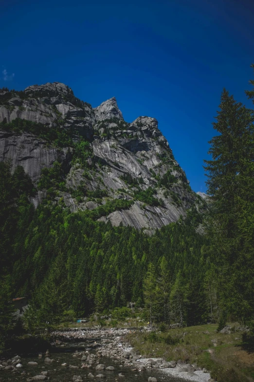 a mountain side view with trees and a small stream