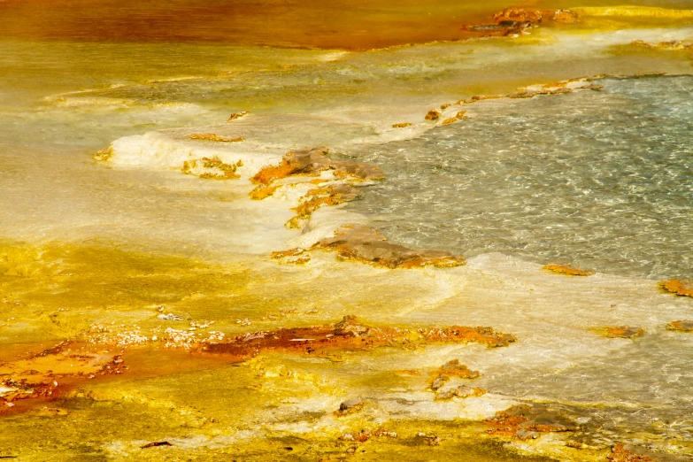 a large number of orange and white paint in water