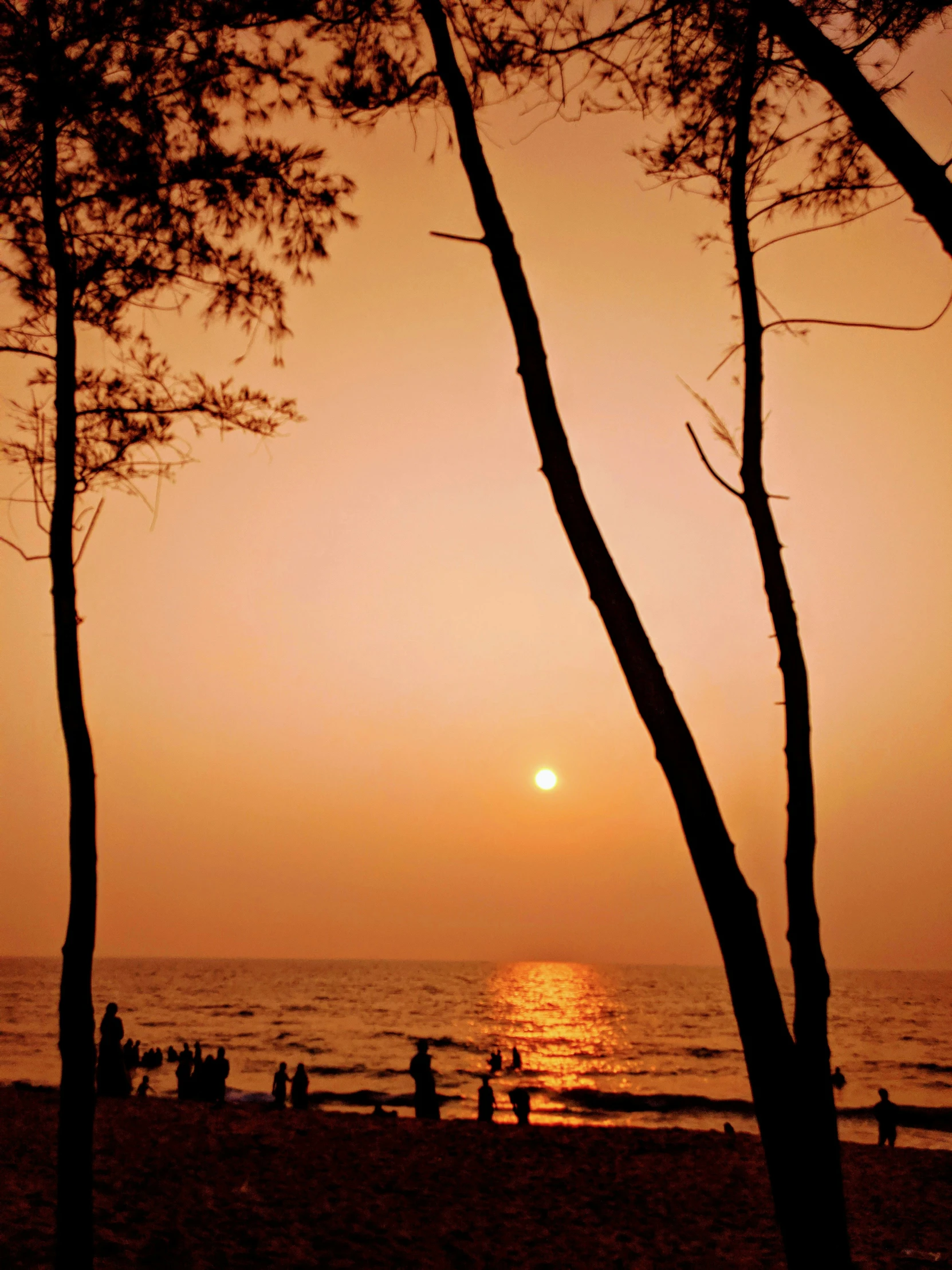 the sun is just behind the trees on the beach