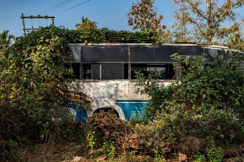 an abandoned bus sitting among some bushes and trees