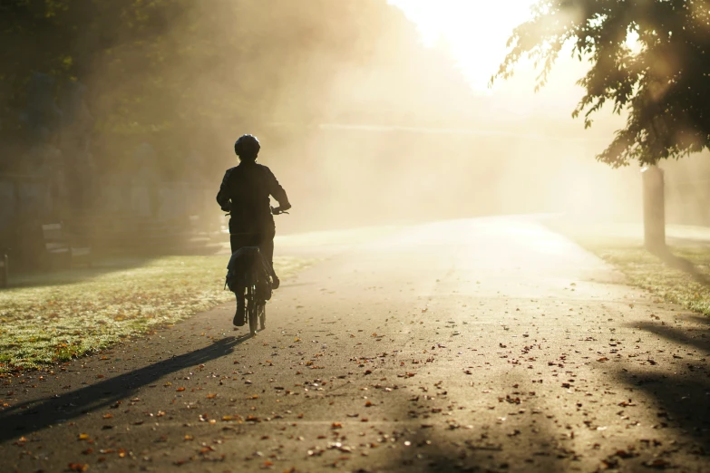 man on a bicycle in the morning on a foggy path