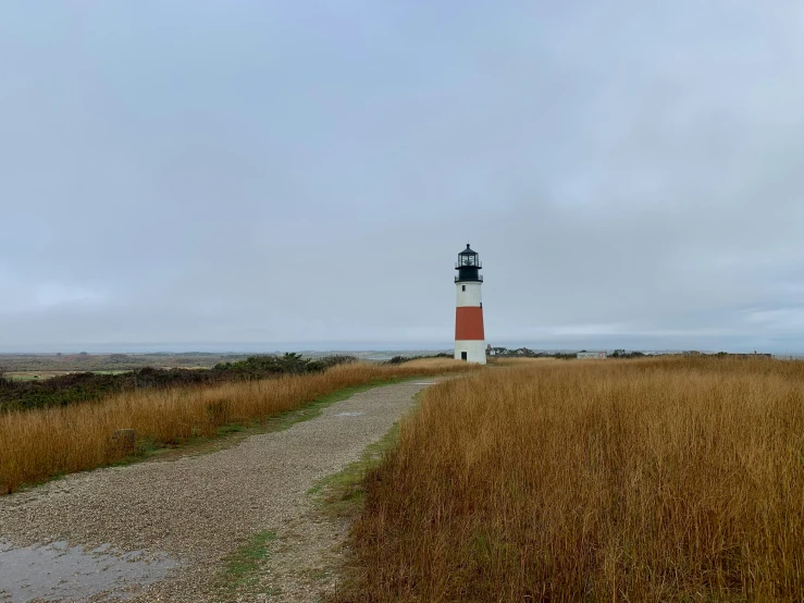 a path between tall grass and a lighthouse