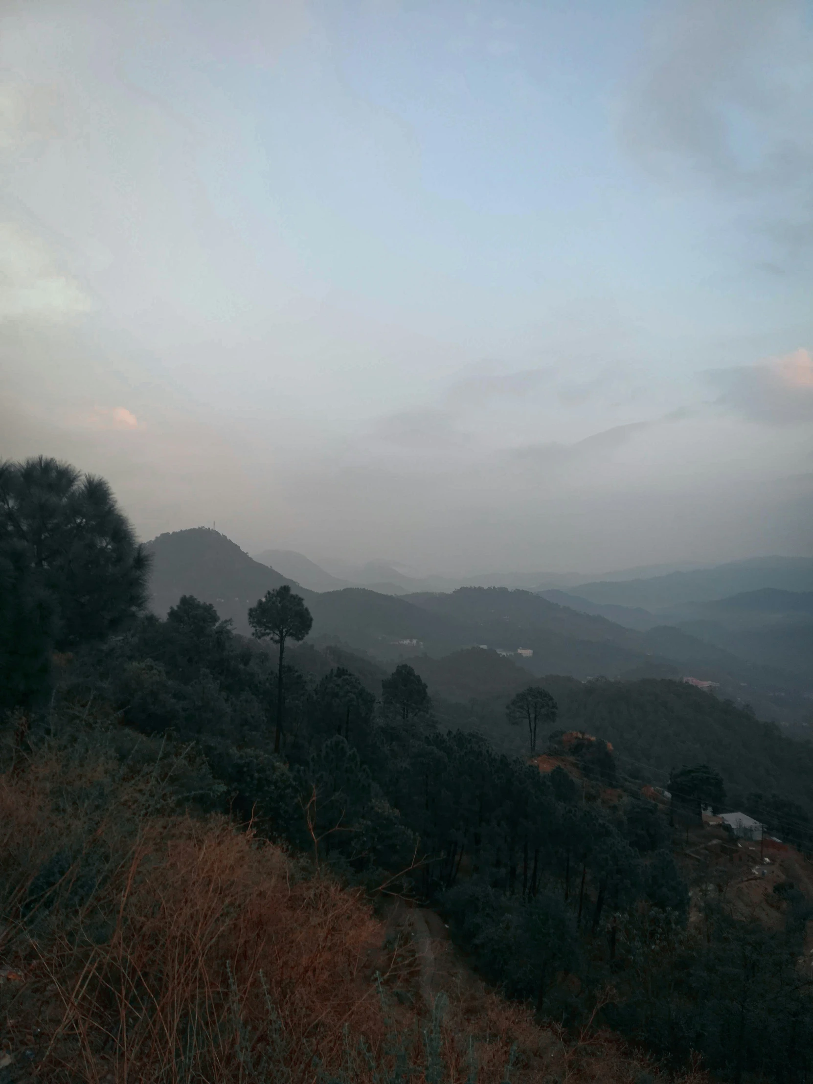 a foggy view of the valley from a trail