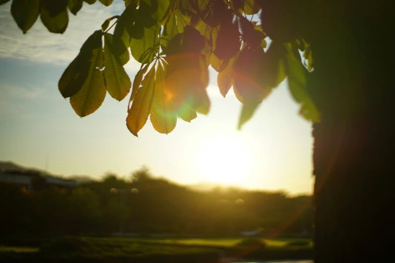 the sun shines in a bright setting behind trees