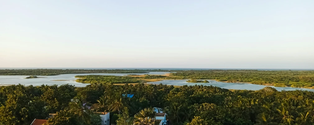 an overview of a lake surrounded by trees