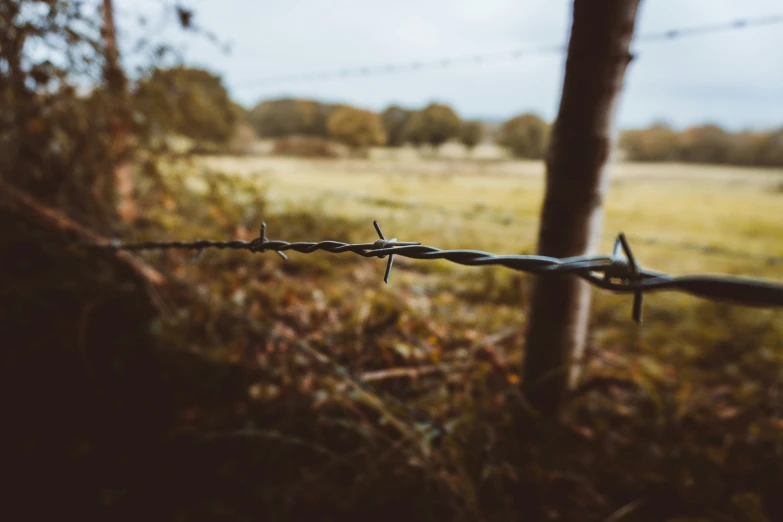 a wire fence is shown with the grass below it