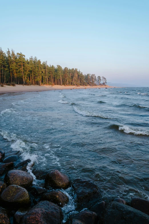 the view from a rocky shore looking at the water and the forest