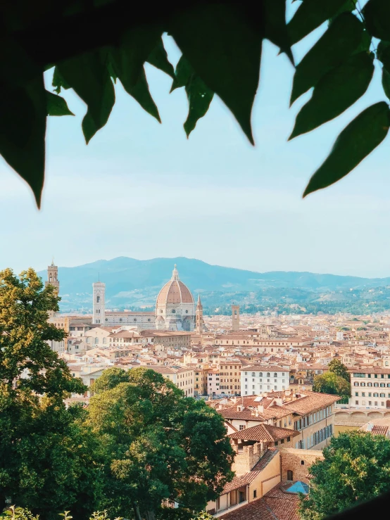 a city is sitting in the middle of trees