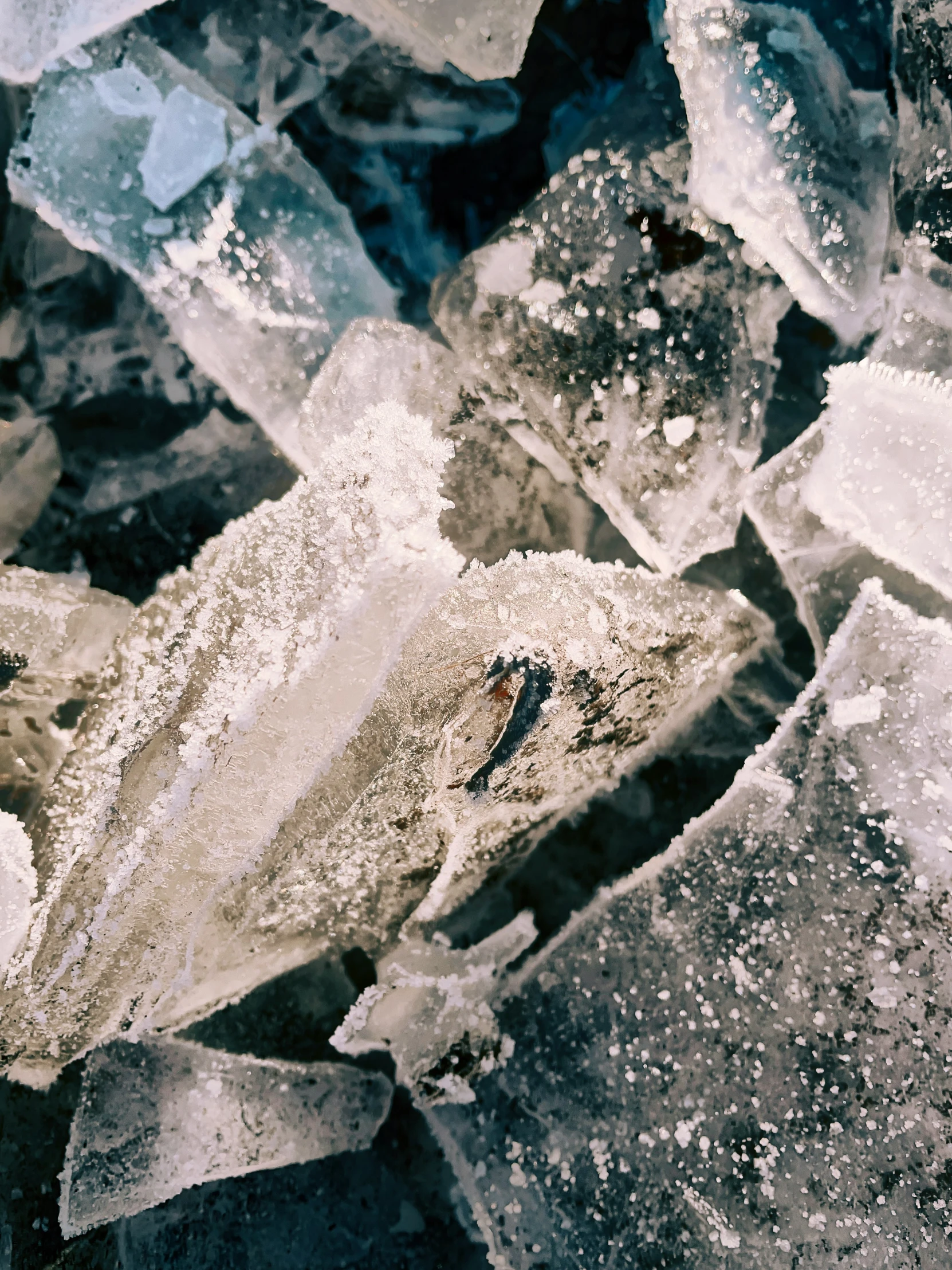 a snowy animal standing next to some icy stones