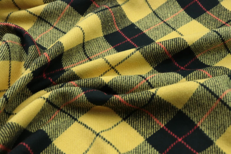 a black and yellow plaid fabric with red trim