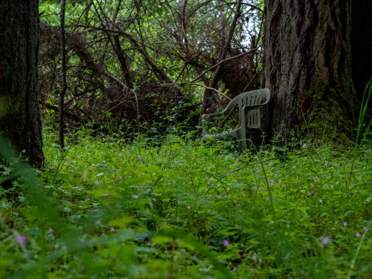 an empty chair is in the middle of some tall grass